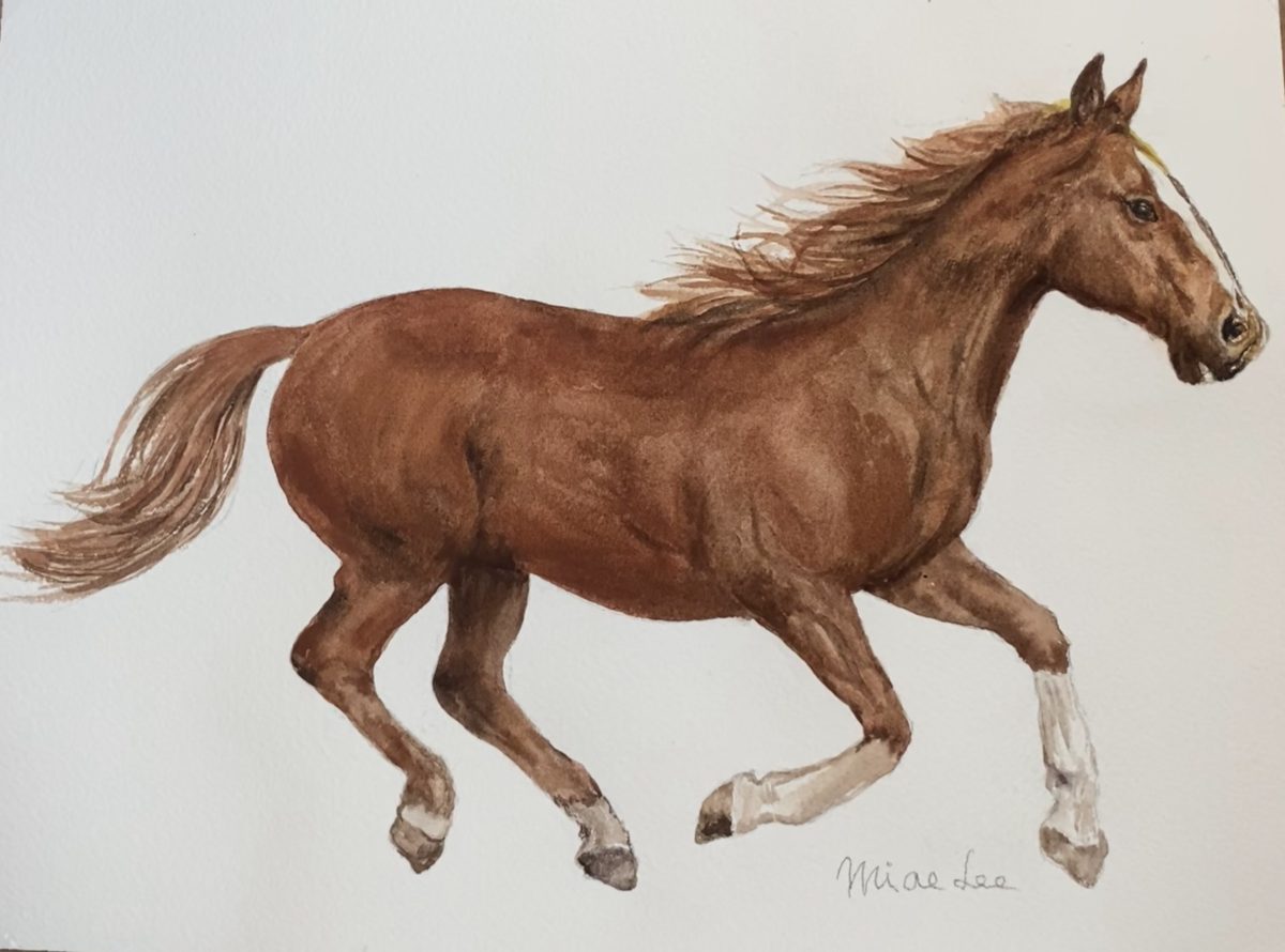 Commissioned watercolor of a chestnut horse galloping