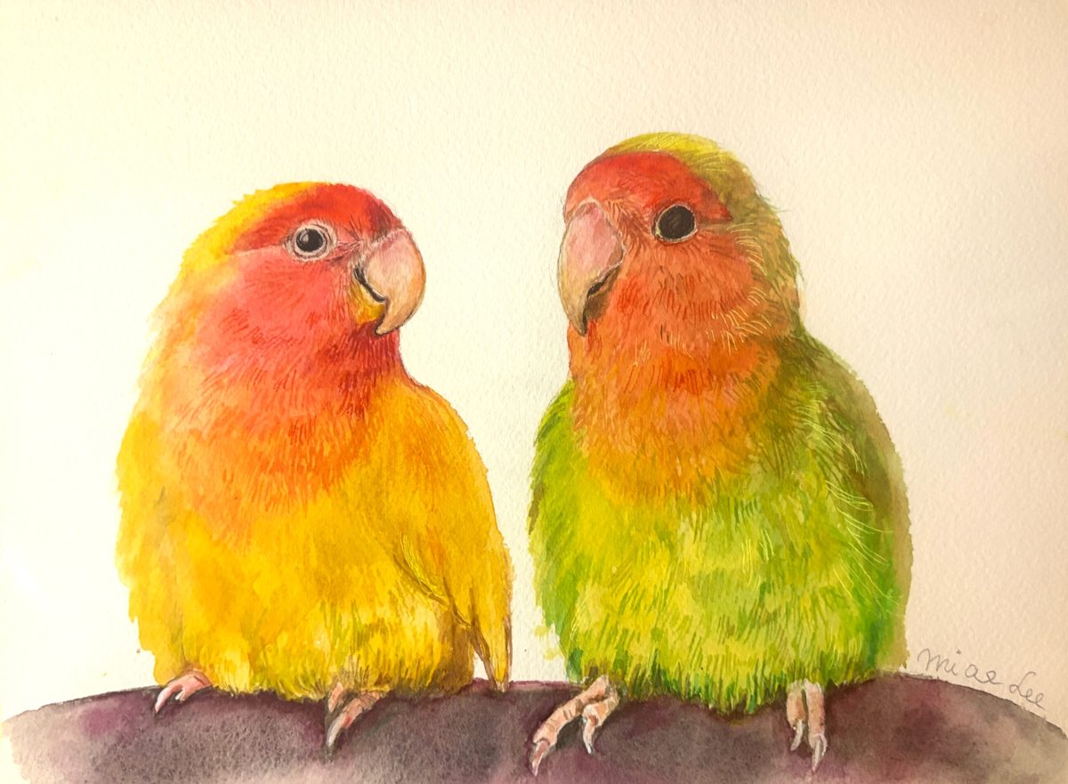 Watercolor portrait of two pet lovebirds