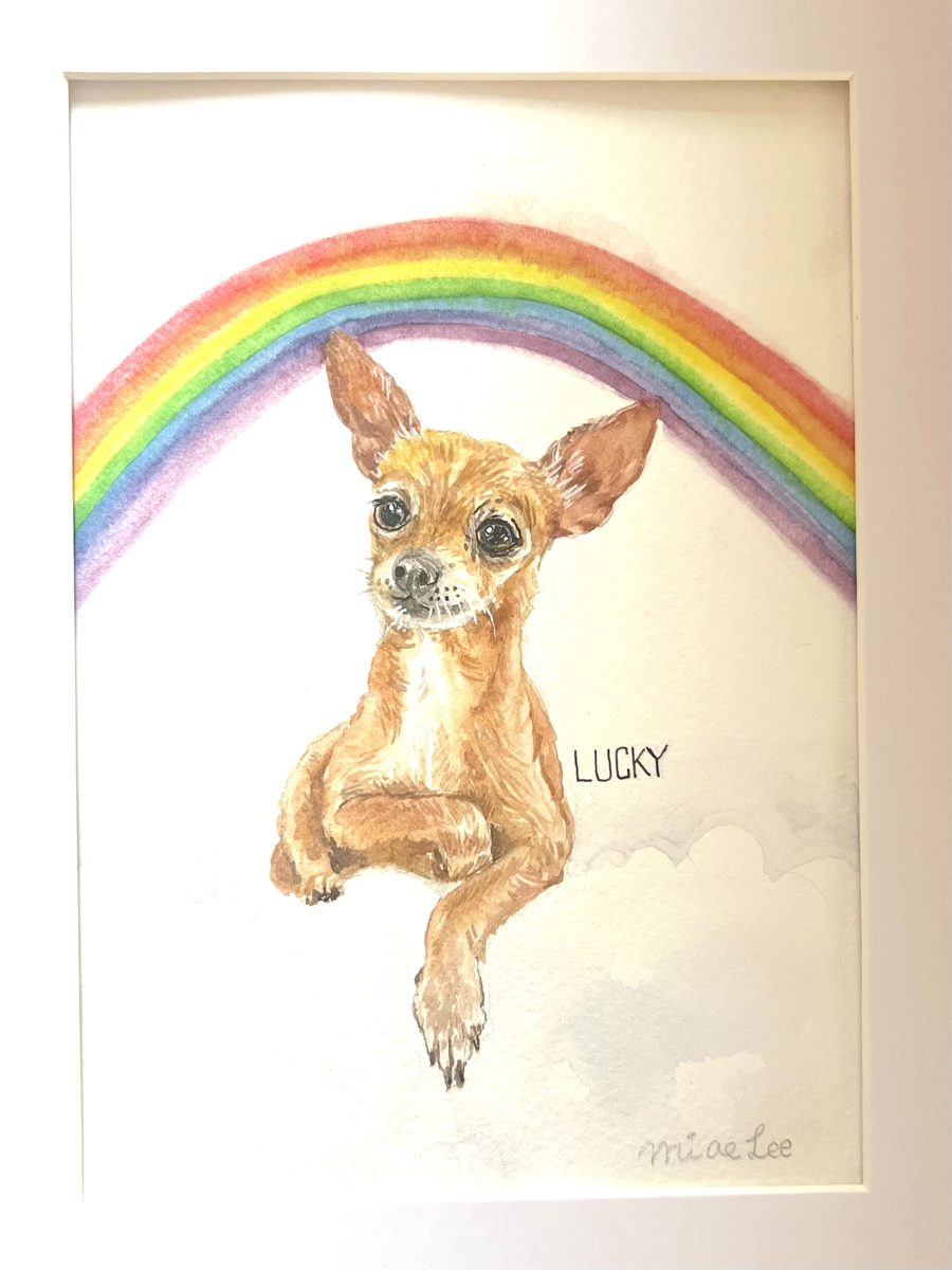Watercolor memorial portrait of Lucky, a chihuahua